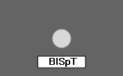 BlSpT