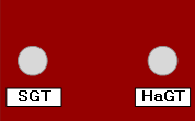 SGT